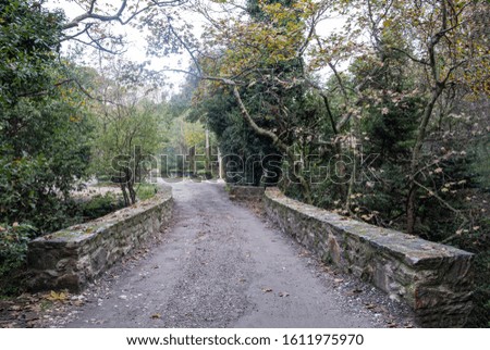 A path on a stone bridge with fallen leaves from the trees. Autumn in a park with the sleeping nature around. Plants background.