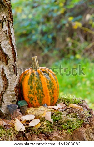 Garden decoration on a tree stump