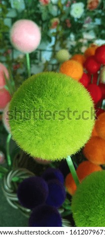 Soft round shape flowers in various beautiful colors