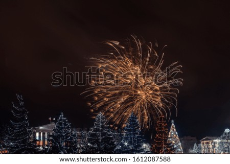 New Year's fireworks over the night city