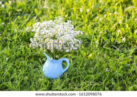 Bouquet of small white daisy flowers in a blue ceramic vase on summer nature background in countryside.