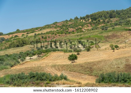 The valley of Ferro river, at summer, near Oriolo, Cosenza, Calabria, Italy
