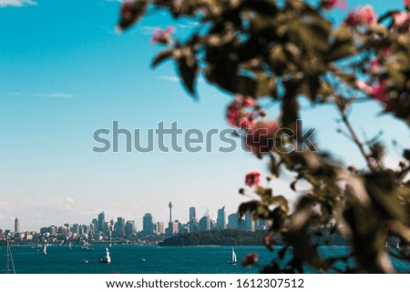 Sydney skyline with sail boats, Australia