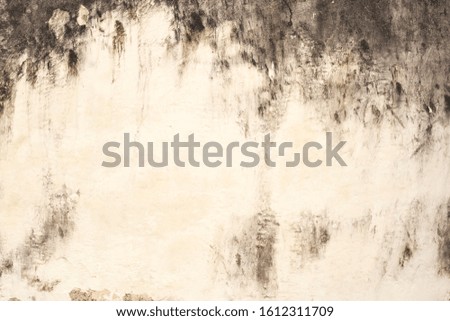 Old cement texture background  for decoration