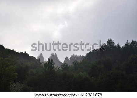 cloudy landscape of the forests in the Bulgarian mountains