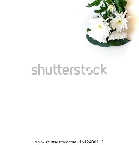 Bouquet of wild flowers on white table background. Flat lay, top view horizontal, empty space for publicity information or advertising text. Mock-up. Copy space.
