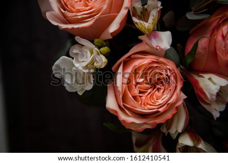 large luxurious bouquet of peony roses of coral color with white freesia in noir style on a dark background. dark romance