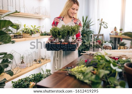 young and beautiful caucasian lover of plants and flowers look after plants, blond lady surrounded by botany, green plants in pots
