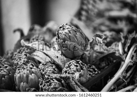 fresh artichoke close up view