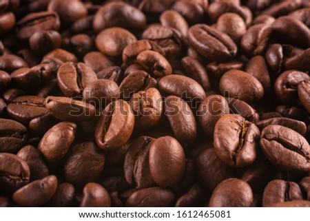 Coffee mood. Coffee beans close-up.