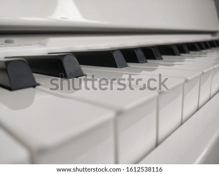"The piano is a beautiful instrument"