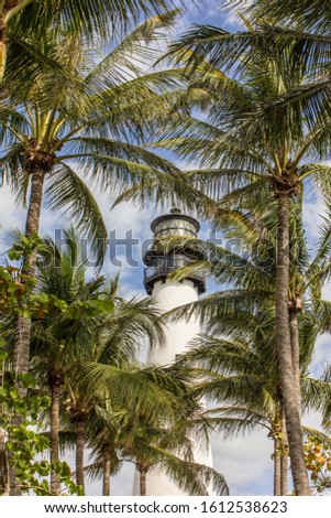 Cape Florida Lighthouse hidden behind palms