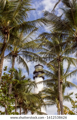 Cape Florida Lighthouse hidden behind palms