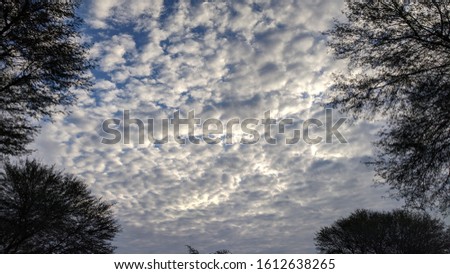 Marvellous thick clouds floating in air and blue sky. Bright wet clouds signing heavy rain. Nature concept.