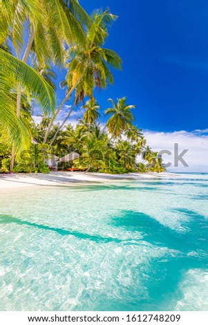 Amazing nature beach with palm trees and moody sky. Summer vacation travel holiday background concept. Maldives paradise beach. Luxury travel summer holiday background concept.