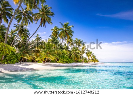 Amazing nature beach with palm trees and moody sky. Summer vacation travel holiday background concept. Maldives paradise beach. Luxury travel summer holiday background concept.