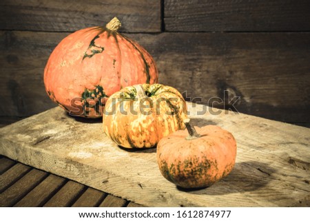 3 different squash on a cutting board wooden decorative grunge pumpkin and pumpkin edible squash and pumpkin high key picture with wood background