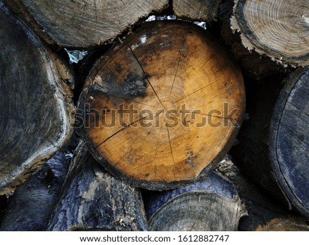 pieces of logs from fruit trees lie along the wall of the house, sawn logs for chopping firewood