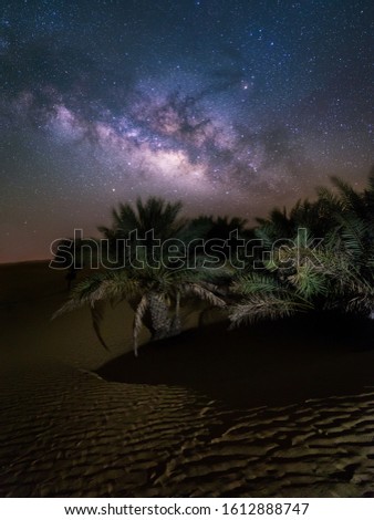 Magical milky way galaxy as pretty as it can be over palm trees in middle of Abu Dhabi desert - United Arab Emirates