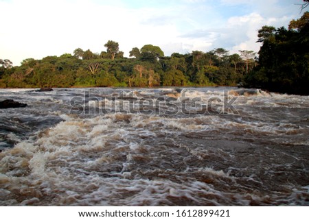 Camp Putnam is sited on a series of rapids of the Epulu River and is the base for the Congolese Parks department and the Okapi capture and research centre Royalty-Free Stock Photo #1612899421
