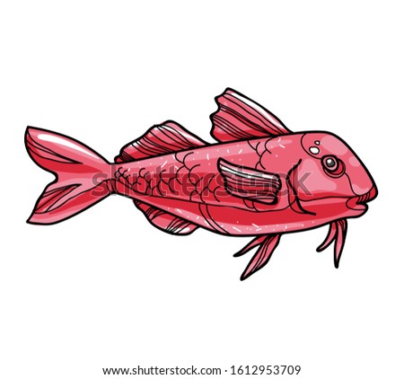 Vector colorful hand drawn red mullet fish cartoon illustration. Illustration for food packaging, market label, underwater design