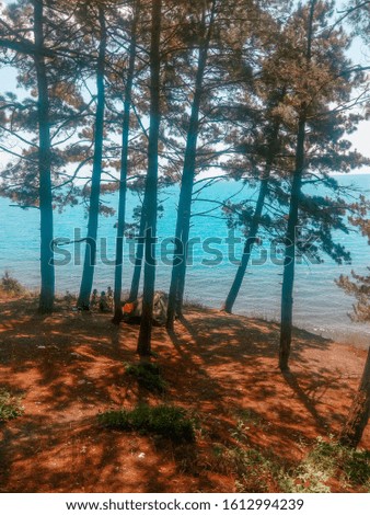 Black sea nature beautiful sky and forest Royalty-Free Stock Photo #1612994239