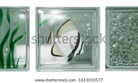 Isolate see through clear square bathroom glass block cube stall panel with Moorish idol fish illustration and circle bubble rough texture pattern .Use for object and material. Array in two grid line.