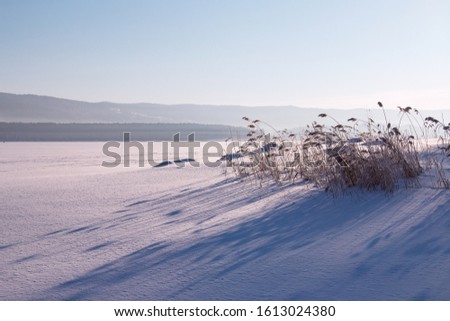 Winter landscape. A frozen lake and forest on the horizon. Daytime winter landscape.