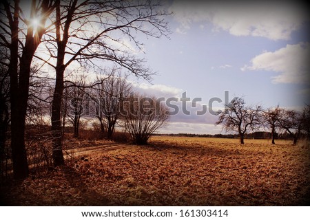 Vintage photo of autumn background