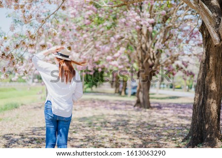 spring season with full bloom pink flower travel concept from backside of beauty asian woman with wear summer hat enjoy with sight seeing sakura or cherry blossom with soft focus flower background