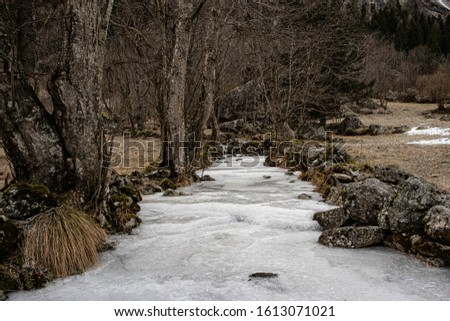 Section of a frozen mountain stream