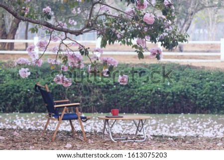 Beautiful picnic area with wooden table and chair with blooming pink trumpet.
