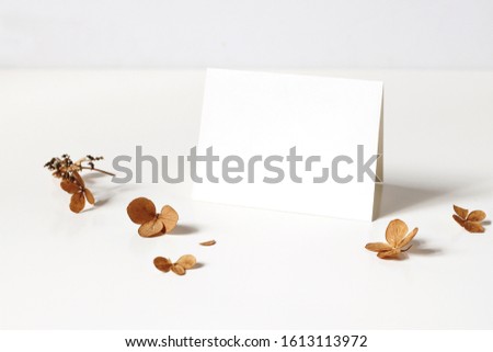 Winter, fall wedding, birthday table composition. Stationery mockup of place card. Dry hydrangea flowers and petals on white table background. Feminine desktop scene. Styled stock photo. 
