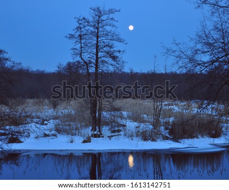 Landscape of spring, night forest with a river. Melting ice and snow. Full moon in the wood. The beginning of spring. Awakening of nature.Enchanting night scenery of spring nature