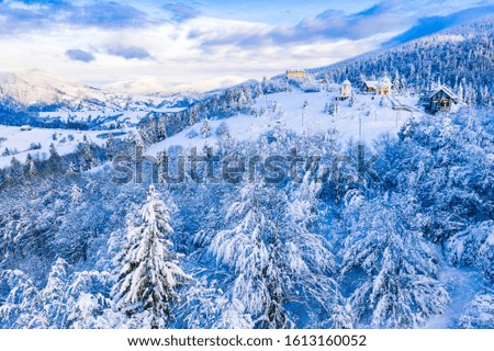 Mixed forest after blizzard in mountains, aerial landscape. Tree branches hanging down due to heavy snow