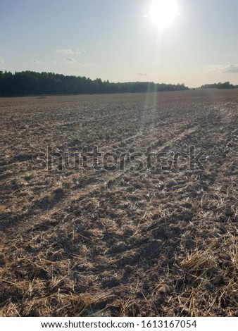Farmer walking in the agriculture farming fields of earth, ground, soil. Pictures of farmland in autumn after harvest gathering in countryside. 