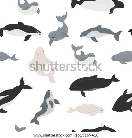 Marine mammals collection. Different porpoises set. Cartoon flat style seamless pattern. Vector illustration Royalty-Free Stock Photo #1613169418