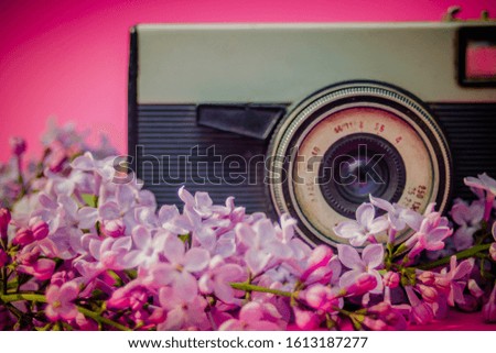 Vintage old camera with pink background 