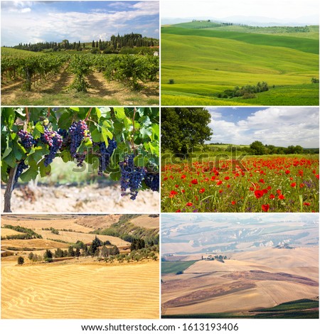 collage with pictures with typical tuscan landscape