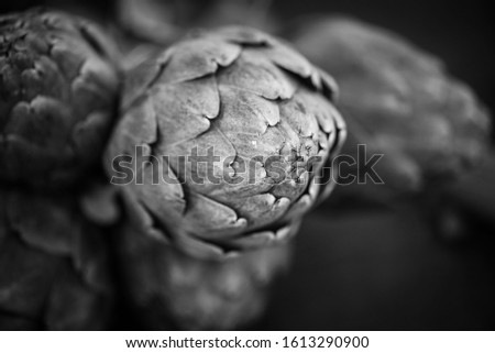 fresh artichoke close up view