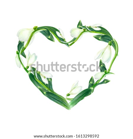 Watercolor snowdrops in heart composition. Spring illustration for your design.