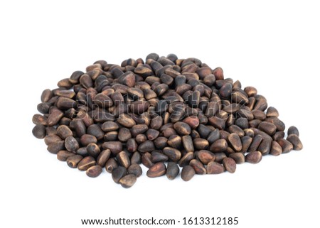 Pine nuts. A bunch of cedar on a white background.