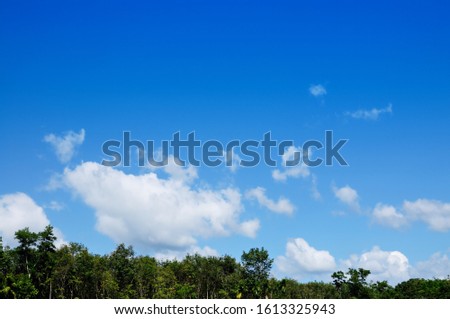 Bright blue sky and white clouds and forests
