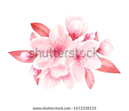 Pink cherry, plum, sakura,apple tree,almond flowers isolated on white background.Valentines day,wedding, mother day,japanese hanami decoration,mother's day, engagement,March eight watercolor clip art