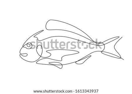 Fish in continuous line art drawing style. Minimalist black linear sketch on white background. Vector illustration