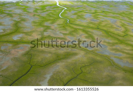 Viewed from high above rivers and inlets cut through the green barren tundra in Alaska.