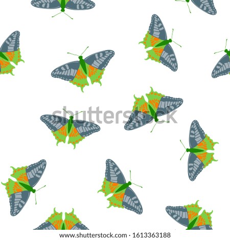 Exotic butterflies modern seamless pattern. Fabric print with flying insect. Tropical butterflies vector illustration. Summer girly fashion seamless pattern. Holiday design. 
