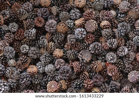 Christmas background of pine cones