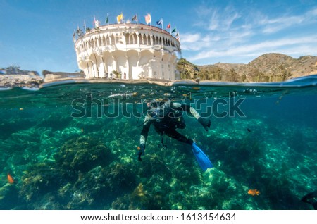 A Young Male Scuba Diver Begins a Dive at the Casino Point Underwater Park at Santa Catalina Island in California Royalty-Free Stock Photo #1613454634
