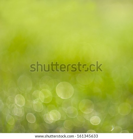 Beautiful blurred shiny water-drops on green. Lots of bokeh background.